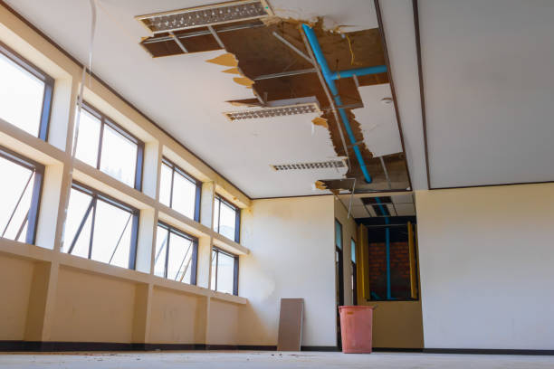 Best Sewage cleanup and water damage restoration  in Buffalo, MN