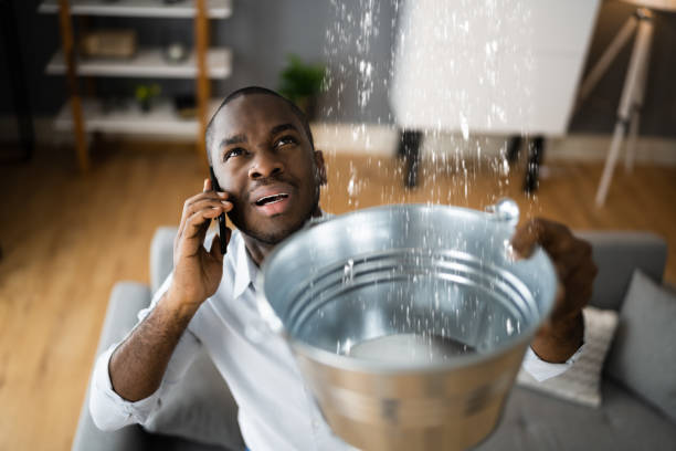 Best Water damage restoration process  in Buffalo, MN