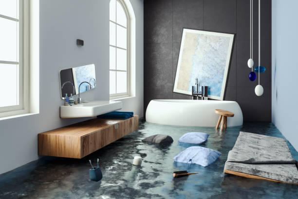Best Water damage restoration near me  in Buffalo, MN