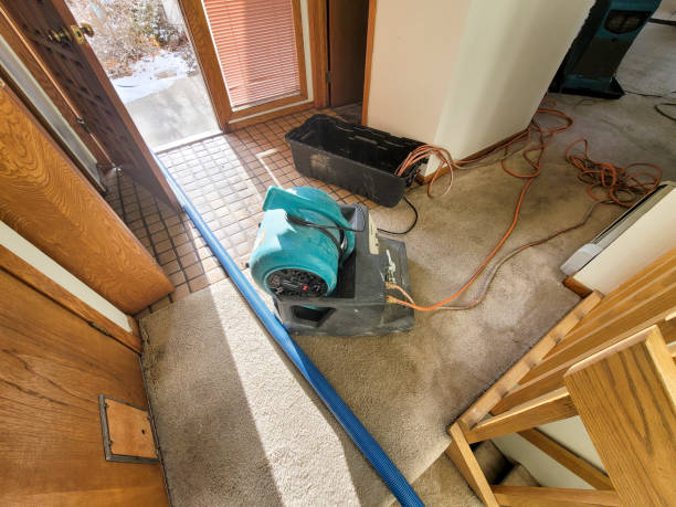 Best Basement water damage restoration  in Buffalo, MN