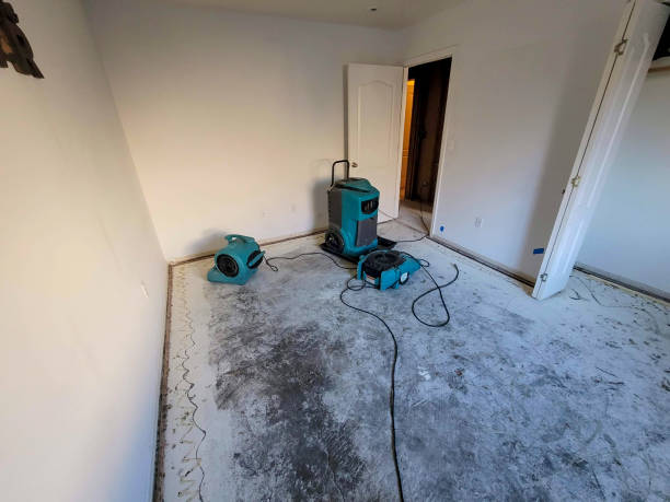 Best Flood restoration services  in Buffalo, MN