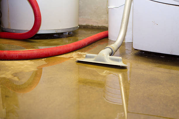 Best Carpet water damage restoration  in Buffalo, MN