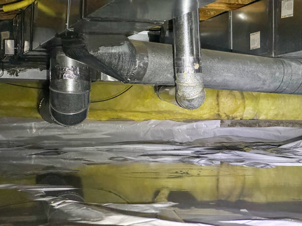 Best Ceiling water damage repair  in Buffalo, MN