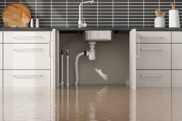 Best Local water damage restoration  in Buffalo, MN