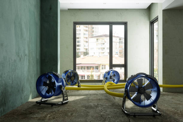 Best Water damage contractors near me  in Buffalo, MN